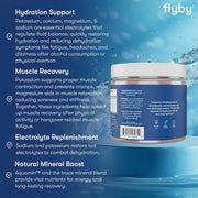Electrolyte Powder
